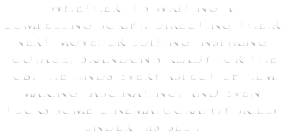 Whether it's writing a compelling script, directing their next move, or editing inspiring footage, Brandon's ready for the job. He finds every aspect of film making fascinating, and even tucks some cinematography skills under his belt.